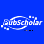 公益学术平台PubScholar